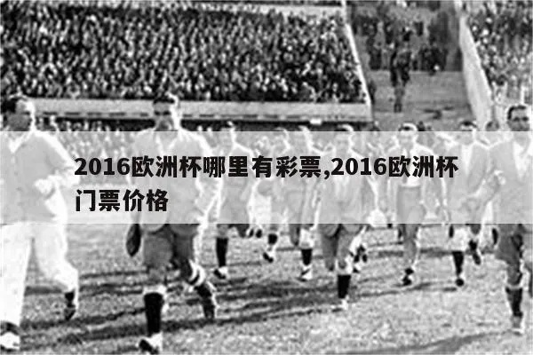 2016欧洲杯门票图片 2016欧洲杯门票图片大全-第2张图片-www.211178.com_果博福布斯